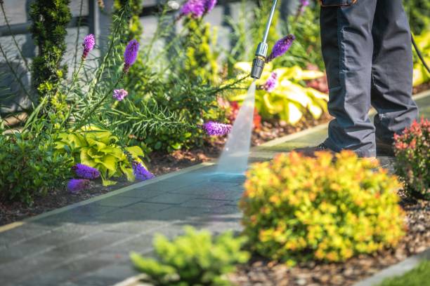 Best Sidewalk and Walkway Cleaning  in Meadow Glade, WA